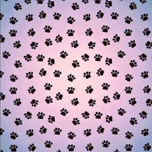 Meet your Posher, Avery